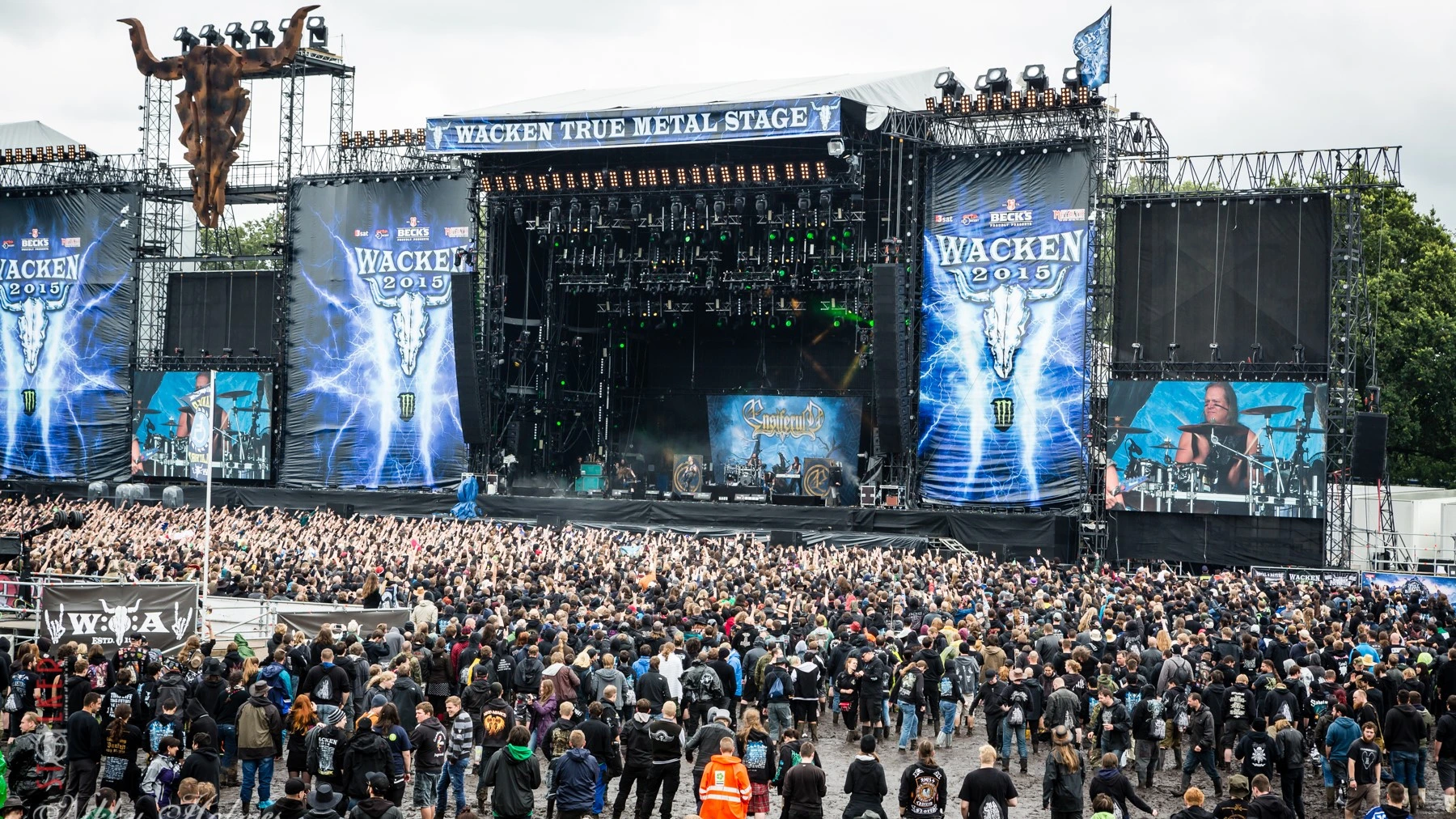 festival survival tips