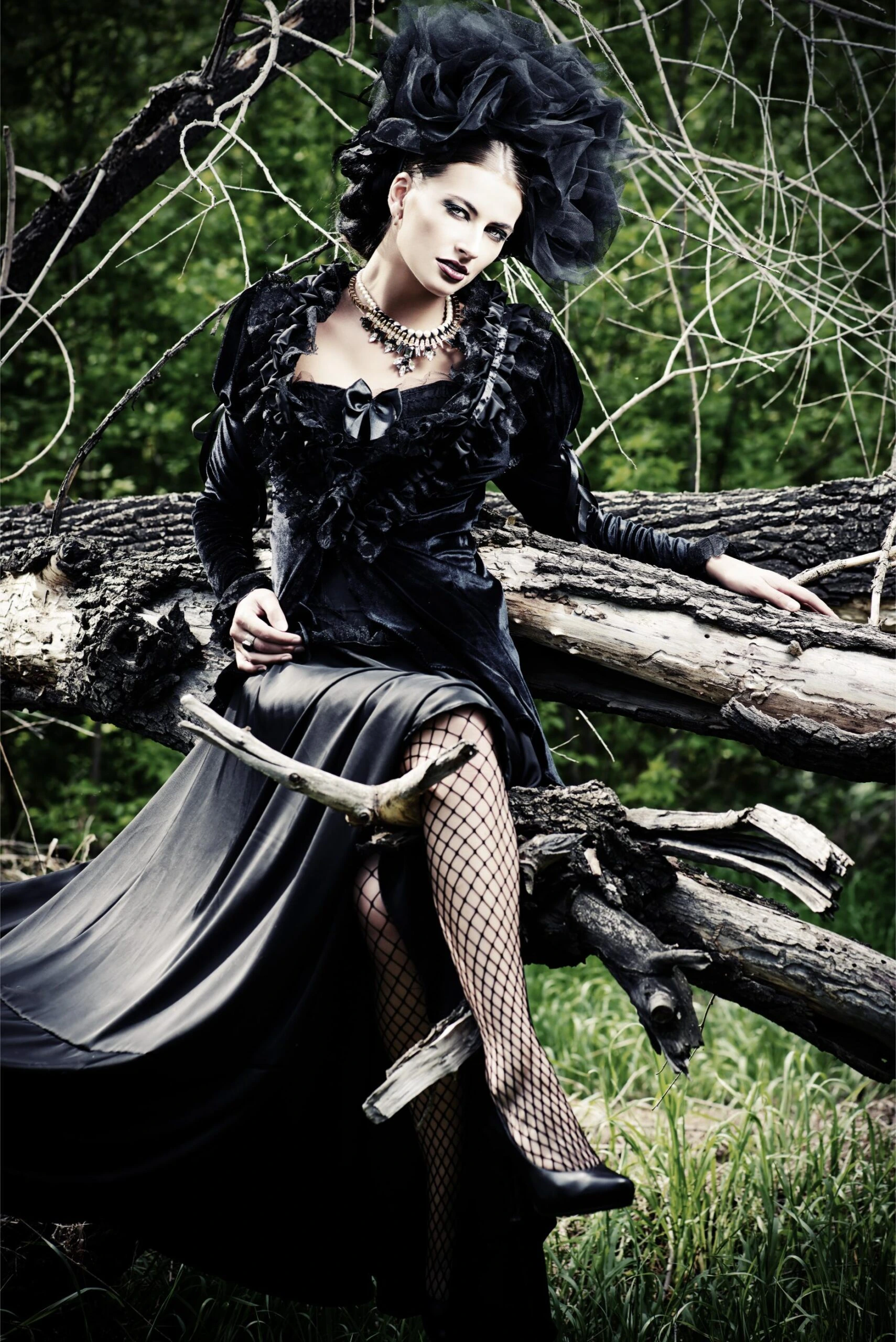 A woman in a dramatic Victorian-inspired black gown with ruffles and fishnet tights, posed elegantly on a fallen tree in a dark, wooded area.