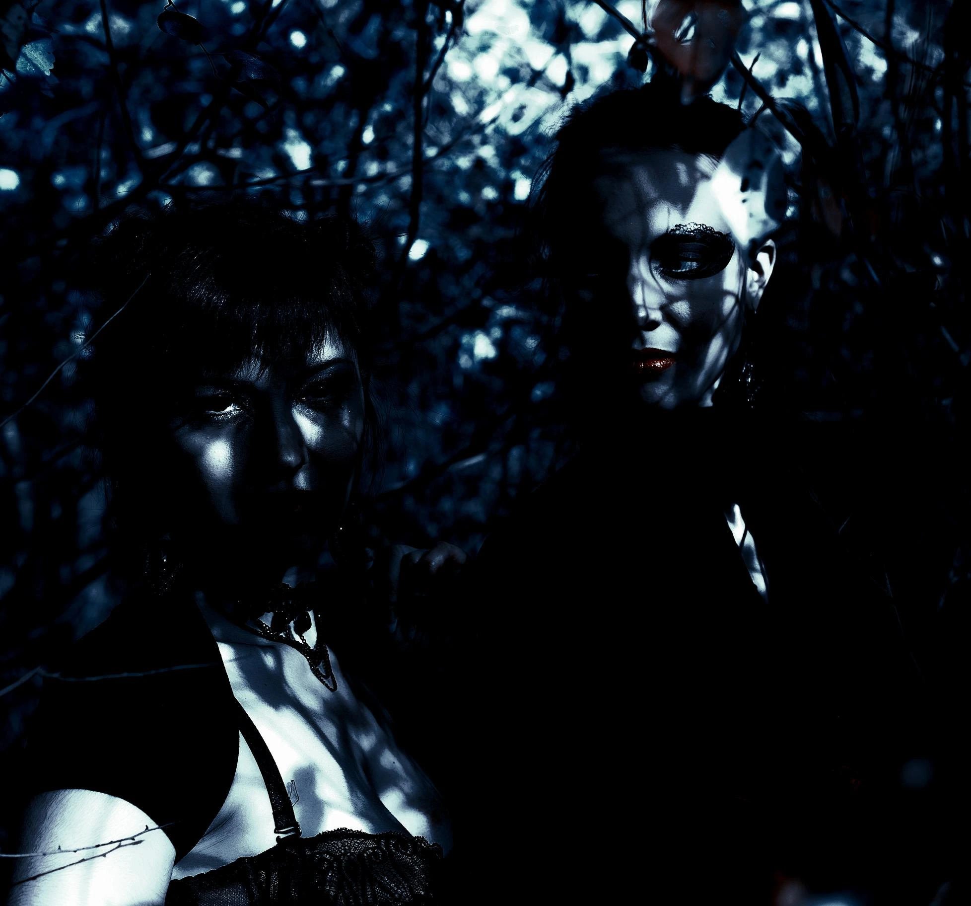 Two women hidden among dark forest branches, their faces cloaked in shadows, embodying dark romantic goth mystique.