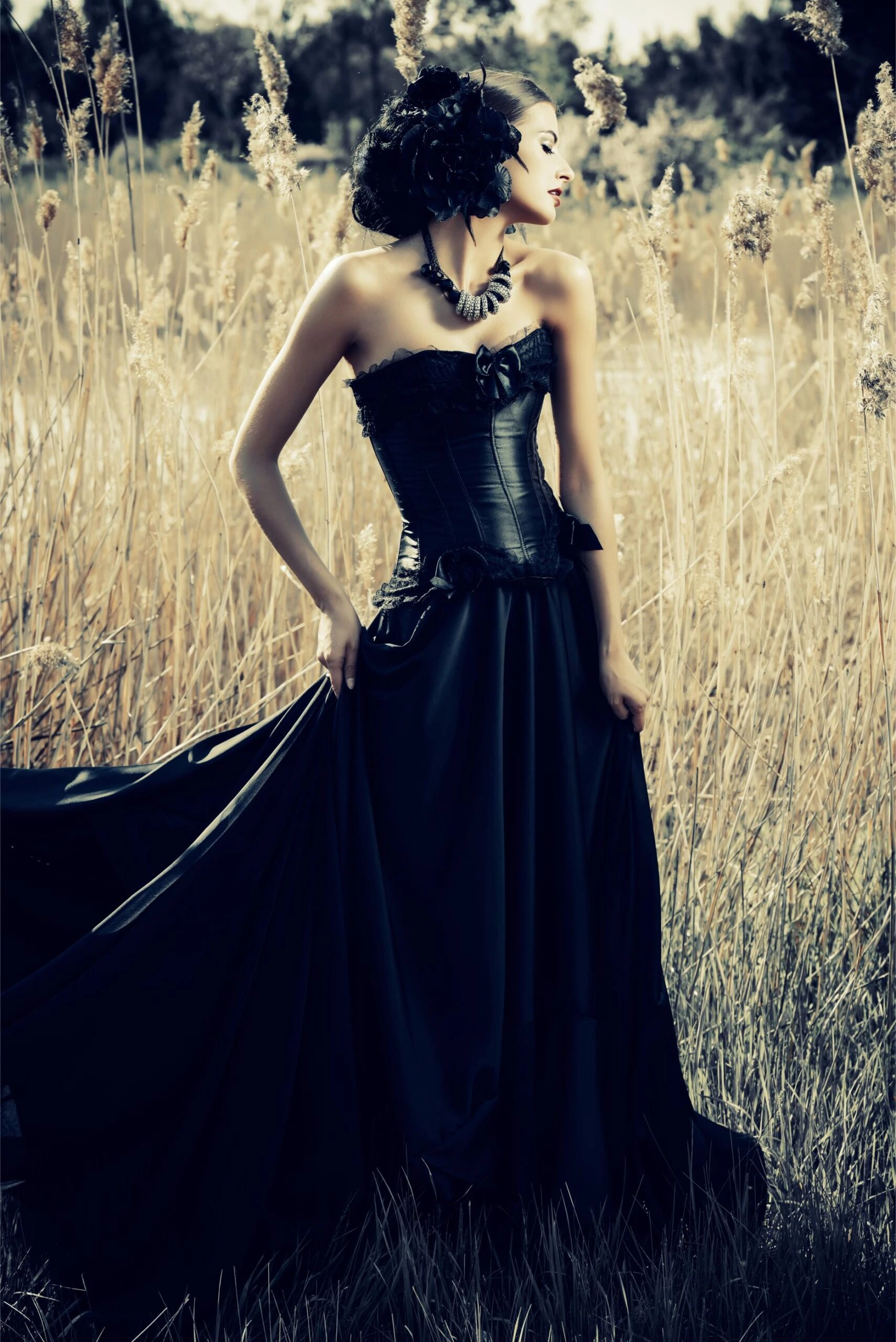 Gothic woman in black corset gown holding flowing skirt while standing in tall golden grass.